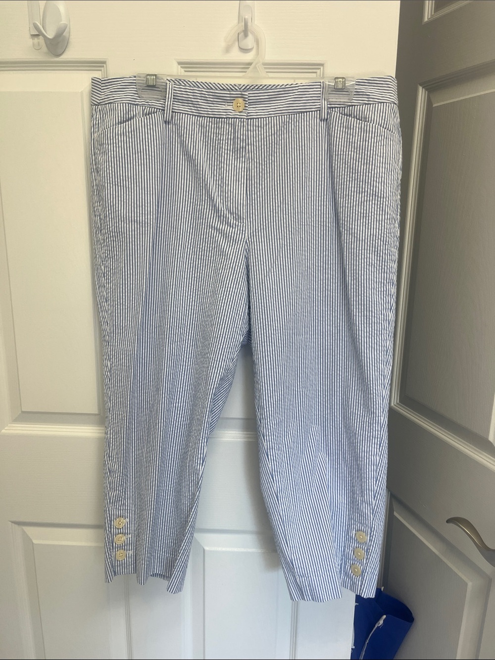 Talbots Blue & White Striped Button-Front Pants
